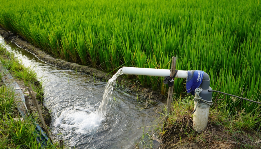 Black & Blue Digital Marketing Agency Facebook Post