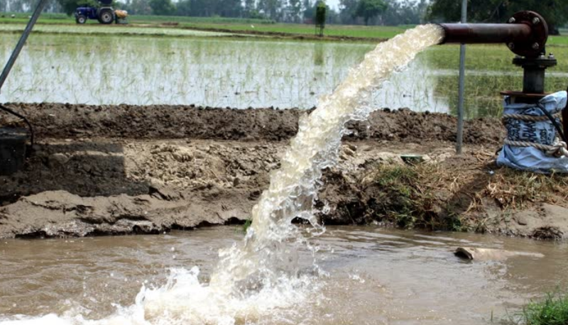 Black & Blue Digital Marketing Agency Facebook Post